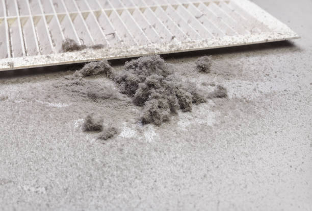 Best Professional Duct Cleaning Services  in Ionia, MI