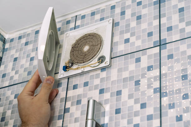 Best Residential Air Duct Cleaning  in Ionia, MI