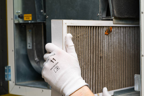 Best HVAC Air Duct Cleaning  in Ionia, MI