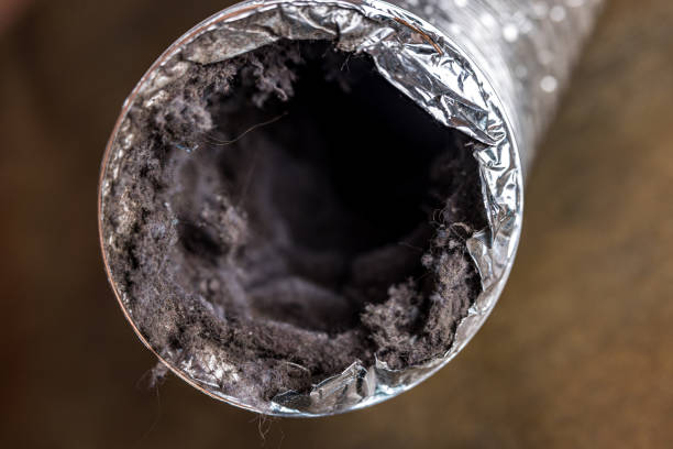 Best Duct Cleaning Specialists  in Ionia, MI