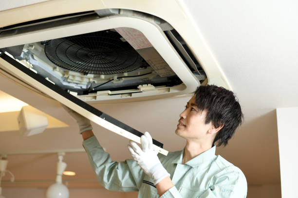 Best Local Air Duct Cleaning Services  in Ionia, MI