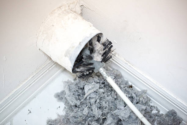 Best Ventilation Cleaning Services  in Ionia, MI